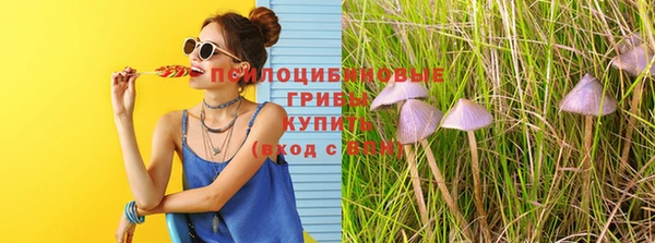 прущие грибы Алексин