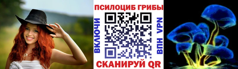 Псилоцибиновые грибы Psilocybe  магазин  наркотиков  Пушкино 