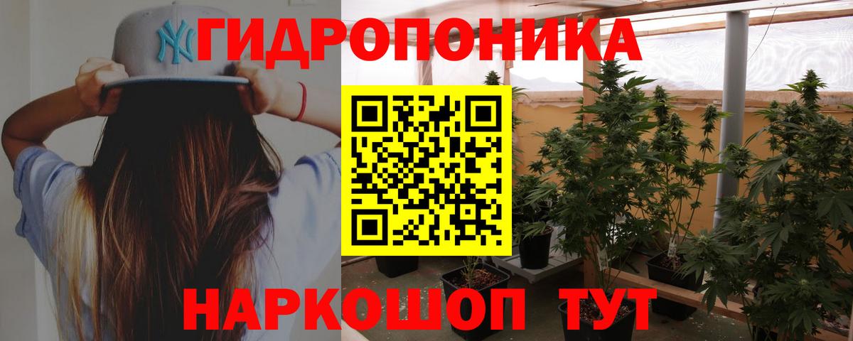 Каннабис марихуана  Бошки Шишки Bruce Banner  Бошки Шишки Ganja  Марихуана семена  Вход с VPN  Пушкино 